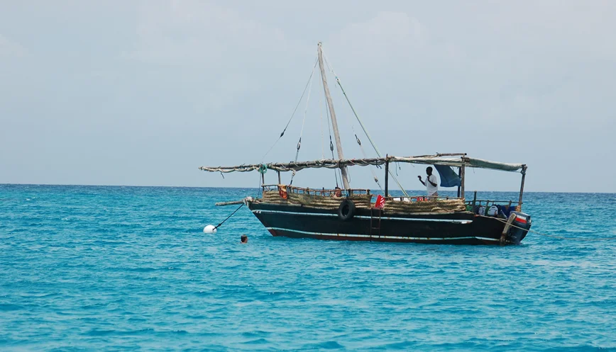 1 day wasini dhow