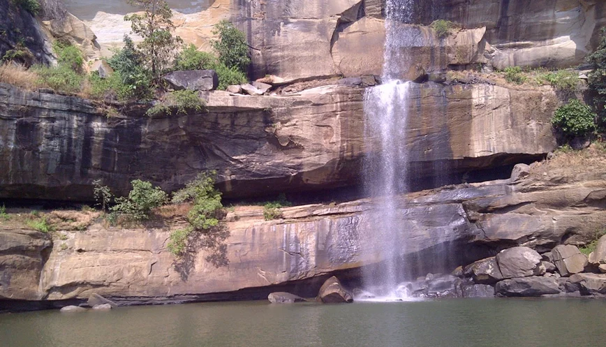 shimba hills